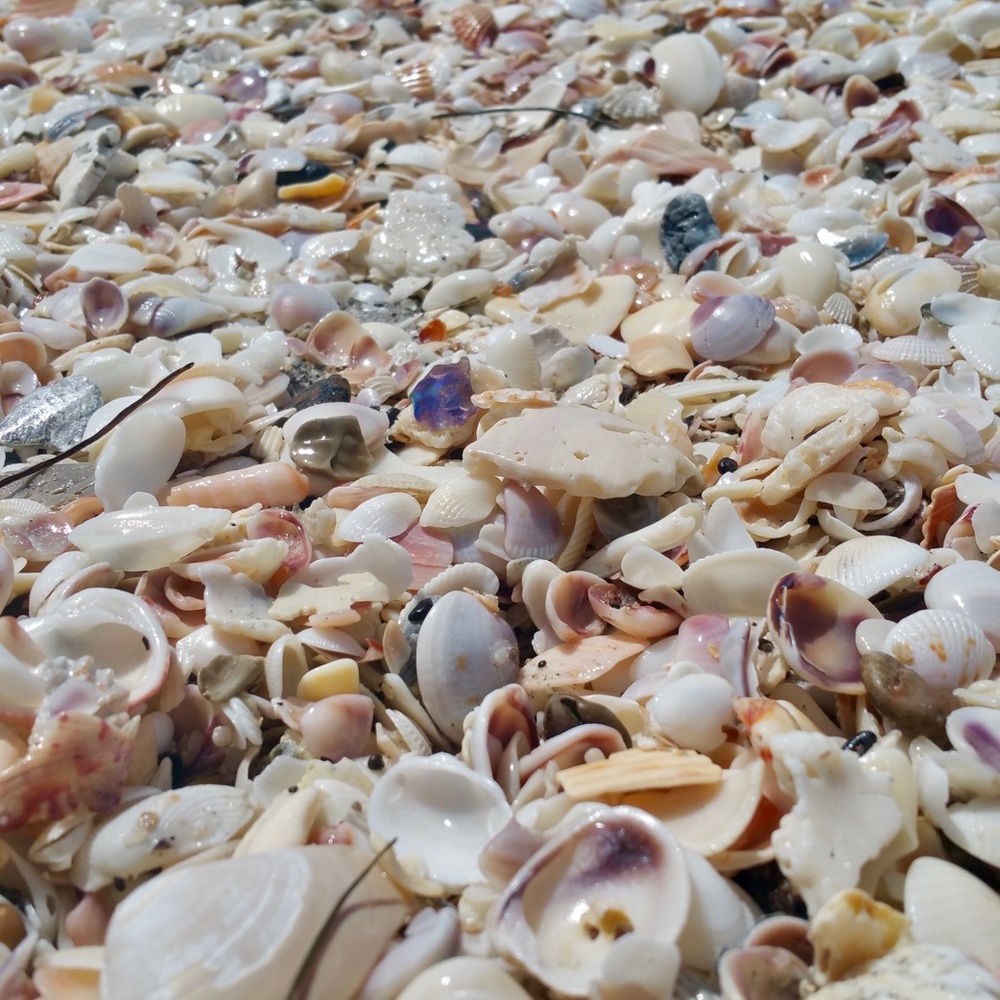 Meet your Posher, Melody